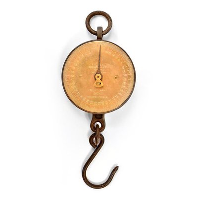 Salter 2025 hanging scales