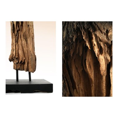 Teak Root from Indonesia for sale at