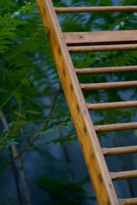 Tschechische Vintage Holz Wandbar 1930er Bei Pamono Kaufen