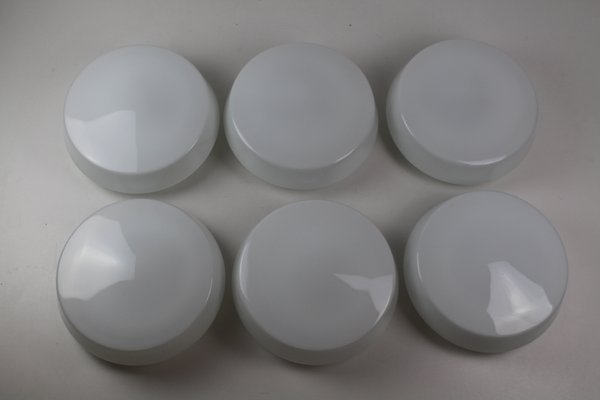 Opal Glass Ceiling Or Wall Lamps From Rzb Rudolf Zimmermann Bamberg 1950s Set Of 6 For Sale At Pamono