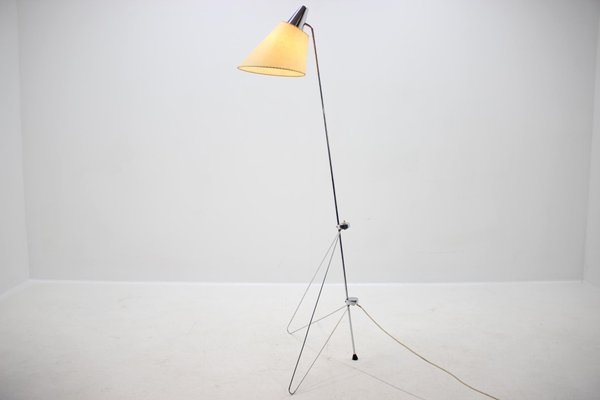 giraffe floor lamp