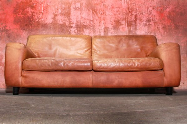 Vintage Italian Bull Leather 2 5 Seater Sofa From Molinari 1980s Bei Pamono Kaufen