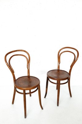 Bentwood Dining Chairs From Horgenglarus Switzerland 19s Set Of 2 For Sale At Pamono