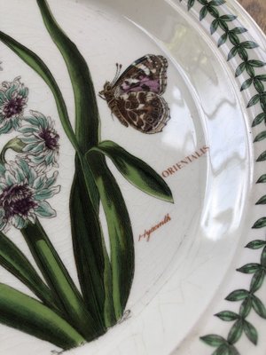 The Botanic Garden Plates 1970s Set Of 6 For Sale At Pamono