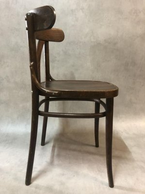 Office Hippo Café Bistro Stacking Chair-Beech 47x54.5x87 cm