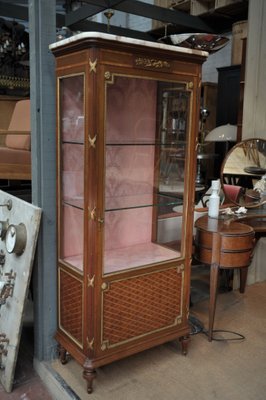 Antique Louis Xvi Inlaid Bronze Display, Pictures Of Antique Curio Cabinets In Zimbabwe