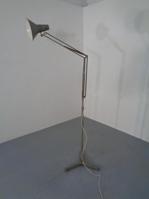 Industrial Terry Architectural Floor Lamp By H Busquet For Hala 1950s At Pamono H Busquet For Hala 1950s, Antifoni Floor Reading Lamp
