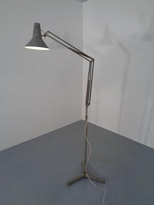 Industrial Terry Architectural Floor Lamp by H. Busquet for Hala 