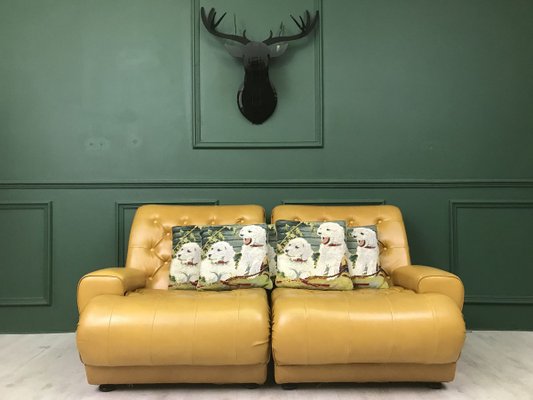 sofa cushions set of 5