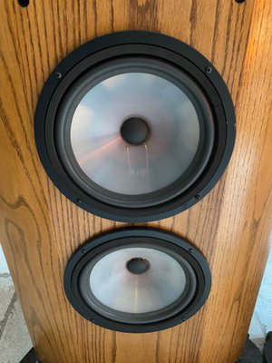 infinity house speakers