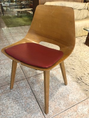 椅子 Pierre Guariche Tonneau chair Steiner Tonneau Chair by Pierre Guariche for Steiner - COLLETION