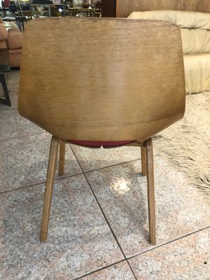 Tonneau Chair by Pierre Guariche for Steiner, 1950s for sale