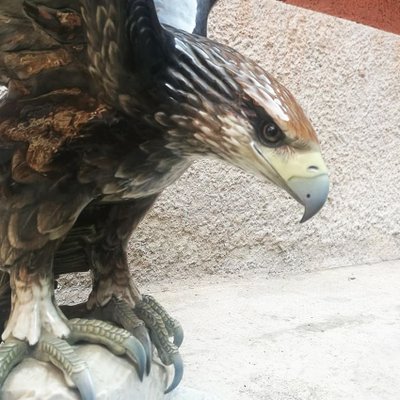 Águila alemana policromada de porcelana de Fritz Heidenreich para  Rosenthal, años 30 en venta en Pamono