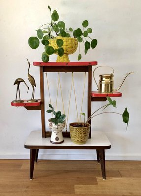 Vintage Wooden Flower Stand With 4 Shelves 1960s For Sale At Pamono