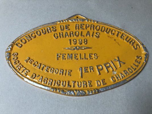 Plaque Concours Hippique – Prix De La Ville Du Chesnay – 1987 – Métal