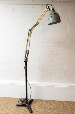 anglepoise standard lamp