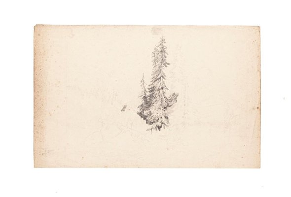 Sole Tree Original Zeichnung In Bleistift Auf Papier 20 Jahrhundert 20 Jahrhundert Bei Pamono Kaufen
