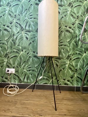 German Tripod Floor Lamp with Parchment Shade, 1950 for sale at Pamono