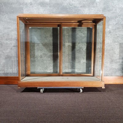 Antique museum display cases for sale deals