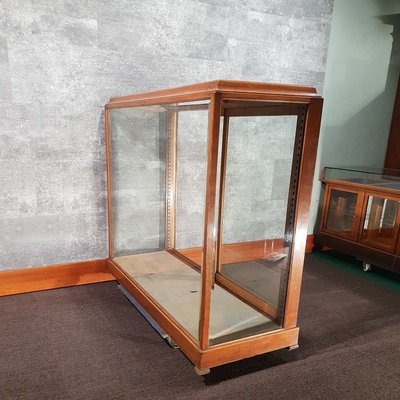 Antique Museum Showcase Cabinet 1928 for sale at Pamono