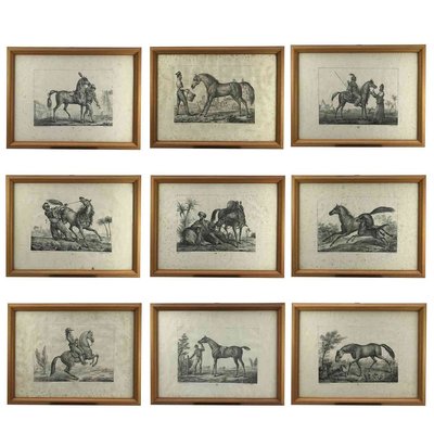 Antique Horses Prints By Luigi Giarre 1822 Set Of 10 For Sale At Pamono The horse oil painting reproductions are beautiful. pamono