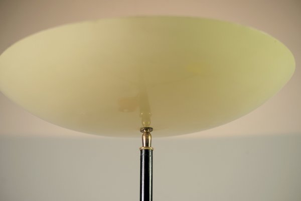 Adjustable Tripod Floor Lamp From, Hampton Bay Floor Lamp Replacement Glass