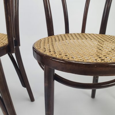 Mid Century Bentwood Cane Dining Chairs by Michael Thonet for