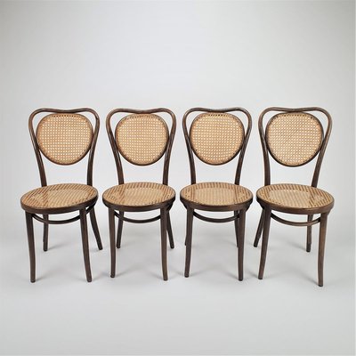Mid Century Bentwood Cane Dining Chairs by Michael Thonet for