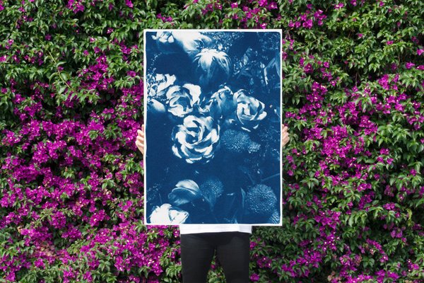 Ramo de flores azules, 2020, Cianotipo en venta en Pamono