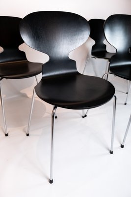 Black Ant Model 3101 Dining Chairs by Arne Jacobsen for Fritz