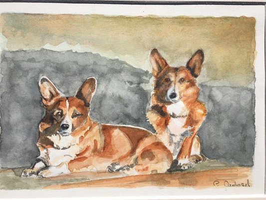Pembroke Welsh Corgi Watercolor for sale at Pamono
