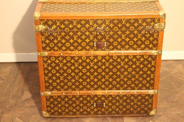 louis vuitton luggage trunk