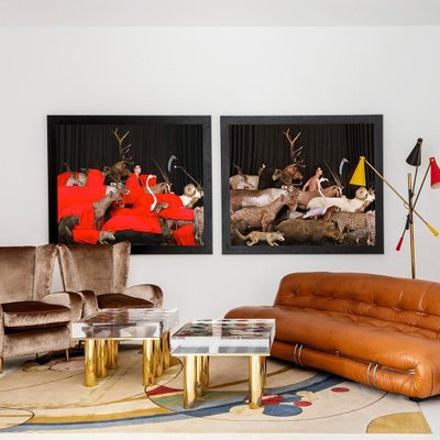 Eduardo Sourrouille Spanish Animals Photography For Sale At Pamono