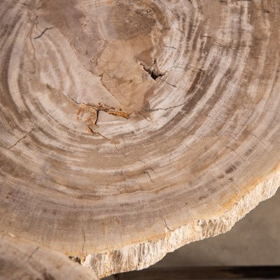 Petrified Wood Fossil Nesting Tables on Chrome Bases Set of 3 for