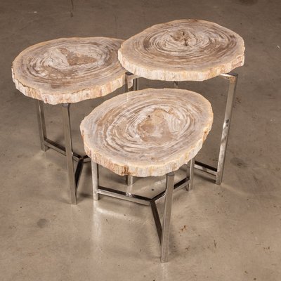 Petrified Wood Fossil Nesting Tables On, Petrified Wood Sofa Table