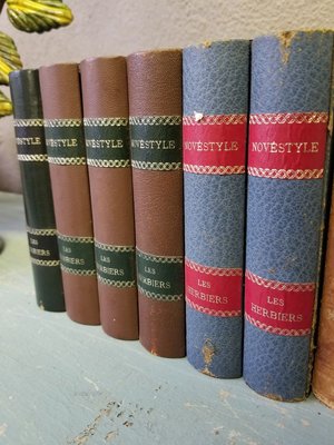 Libri antichi decorativi, set di 2 in vendita su Pamono