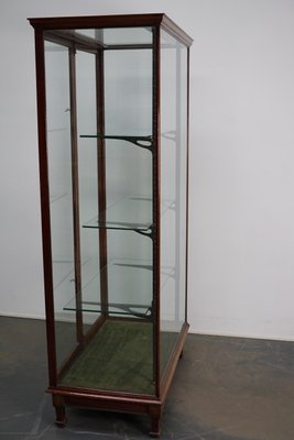 Victorian Mahogany Museum Shop Display Cabinet or Vitrine Late 19th Century