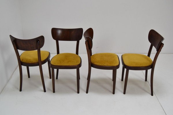 Century chairs for sale hotsell