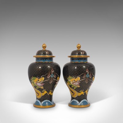 https://cdn20.pamono.com/p/g/8/4/845194_ymuwo13xaa/antique-decorative-spice-jars-1900s-set-of-2-1.jpg