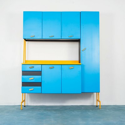 Metal Pantry Cupboard 1950s For Sale At Pamono