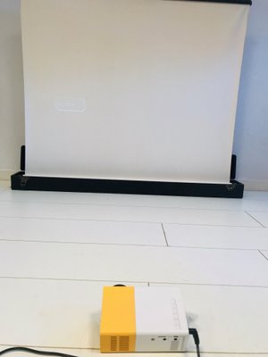 Vintage Folding Projection Screen With Suitcase 1960s For Sale At Pamono