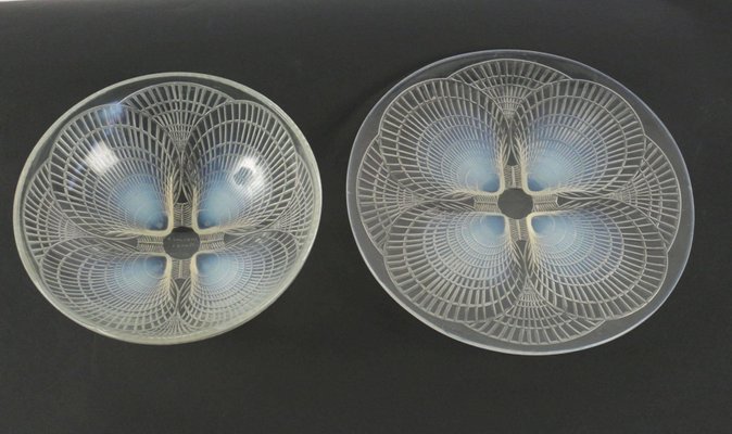 Rene Laliqueの半月型プレート　二枚 Opalescent Coquilles Pattern Plates by René Lalique, Set of