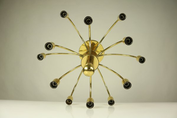 Vintage 12-Light Chandelier by Gaetano Sciolari, 1970s for sale at