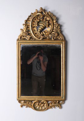 hobbyesport Specchio da Parete Stile Barocco 100x50 cm Dorato 