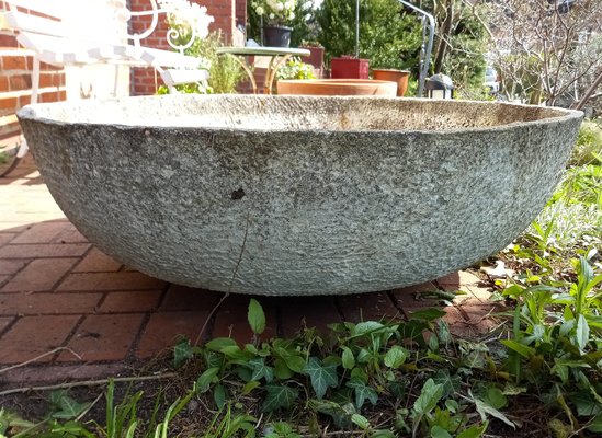 Large Planter in Concrete