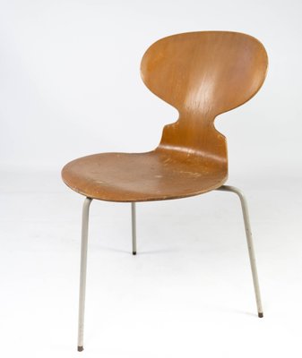 Sedie Ant modello 3101 in legno chiaro di Arne Jacobsen per Fritz Hansen,  anni '50, set di - Main Image