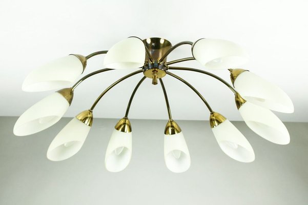 Vintage Spider Sputnik 10 Light Ceiling In Brass Glass 1950s For At Pamono Vintage Spider Sputnik 10 Light Ceiling, Spider Light Fixture Uk
