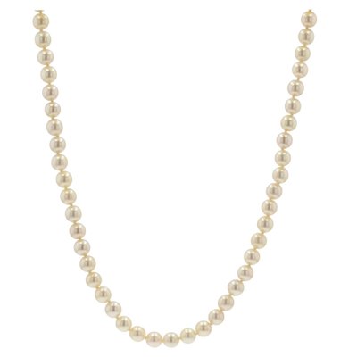 French Akoya Cultured Pearl Long 