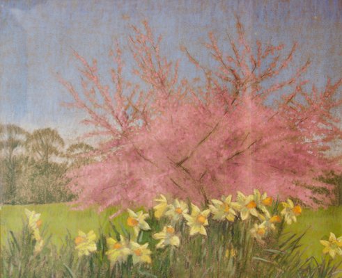Apple Blossom Tree And Dandelions Mid th Century Impressionist Landscape Oil 1950s For Sale At Pamono