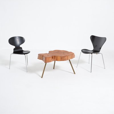 Tree Trunk Coffee Table for sale at Pamono